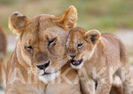 blog_2012_05.jpg
