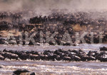blog_2012_07.jpg